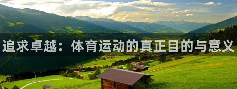 德国米兰体育官方正版app集团：追求卓越：体育运动的