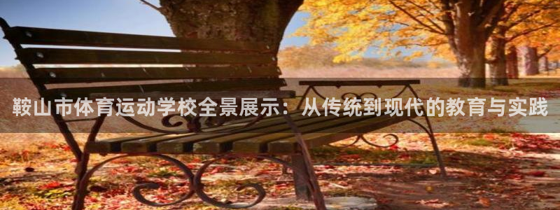 米兰体育官方正版app集团E.ON：鞍山市体育运动学