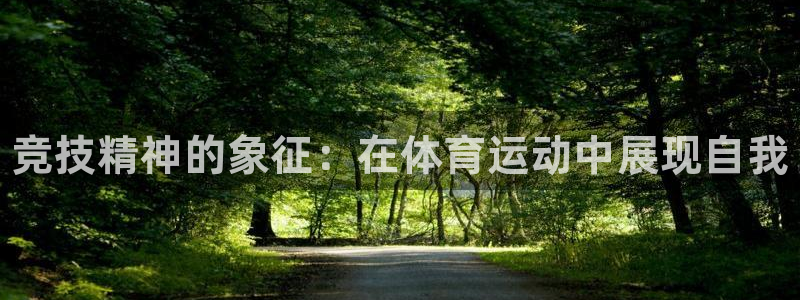 海南米兰体育官网下载发展怎么样：竞技精神的象征：在体