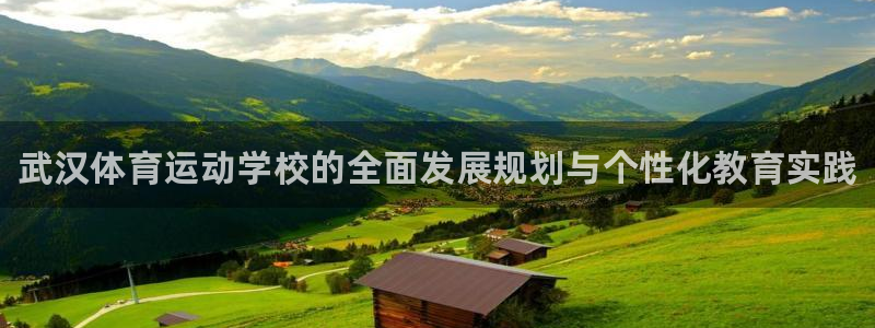 米兰体育官方平台体育：武汉体育运动学校的全面发展规划