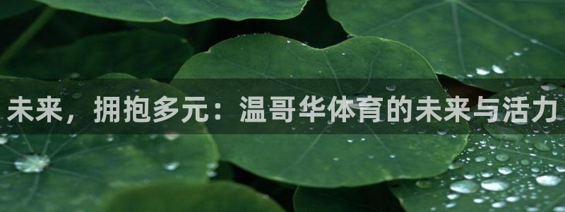 德国米兰体育官方正版app集团：未来，拥抱多元：温哥