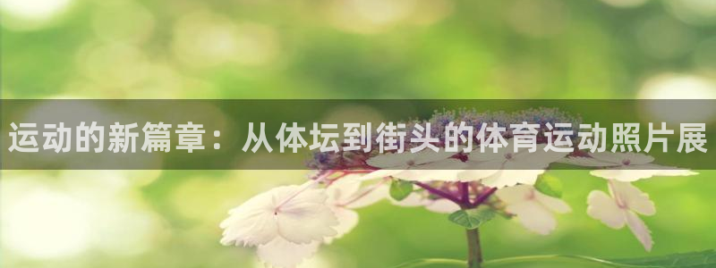 米兰体育官方正版app集团简介