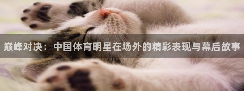 米兰体育官网下载招商电话是多少号码：巅峰对决：中国体