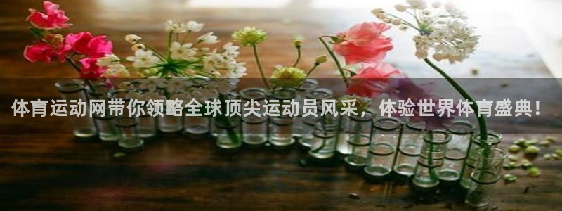 德国米兰体育官方正版app集团：体育运动网带你领略全球顶尖运