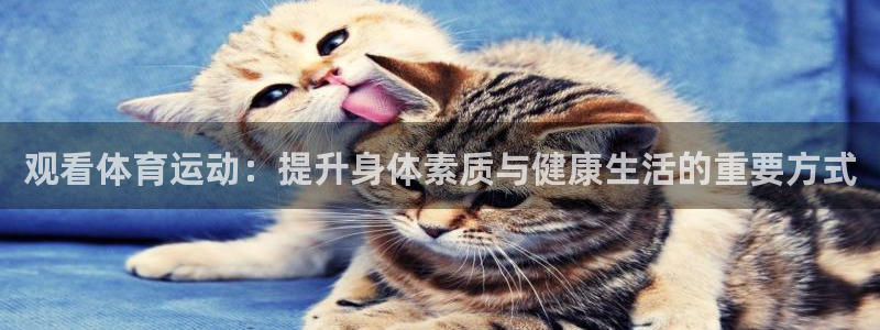 米兰体育官方正版app科技：观看体育运动：提升身体素质与健康