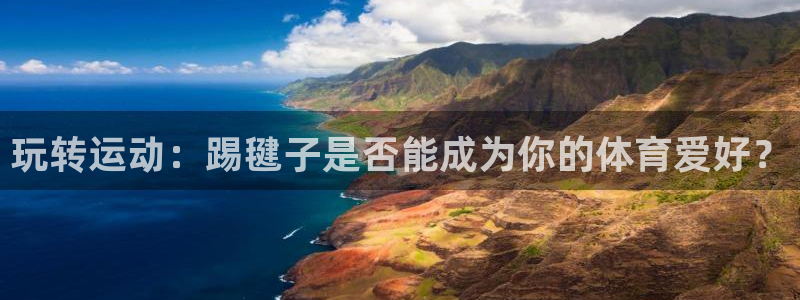 米兰体育官方正版app集团E.ON