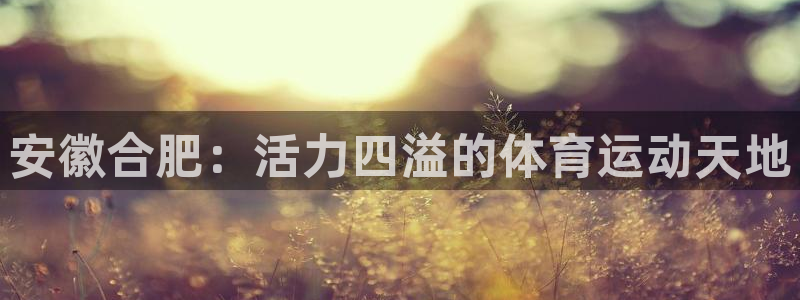 米兰体育官网下载招商电话：安徽合肥：活力四溢的体育运动天地