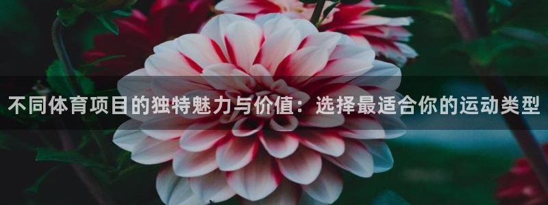 米兰体育官网下载平台假的吗是真的吗吗：不同体育项目的独特魅力