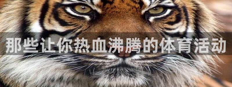 米兰体育官方正版app集团E.ON：那些让你热血沸腾的体育活