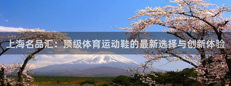 米兰体育官方正版app娱乐首页官网下载：上海名品汇：顶级体育