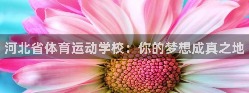 海南米兰体育官网下载发展怎么样：河北省体育运动学校：你的梦想