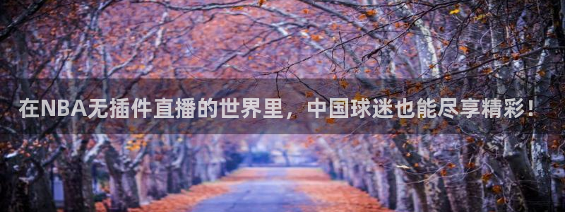 雨燕体育857直播：在NBA无插件直播的世界里，中国球迷也能尽享精彩！