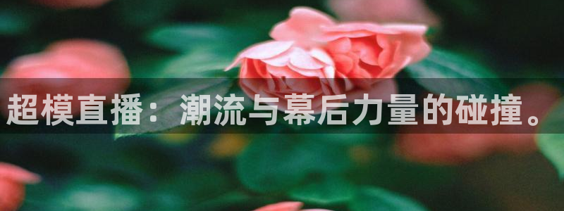 857直播：超模直播：潮流与幕后力量的碰撞。